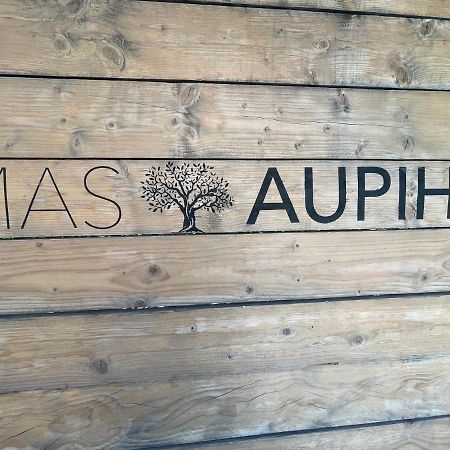 فيلا Mas Aupiho Saint-Rémy-de-Provence المظهر الخارجي الصورة
