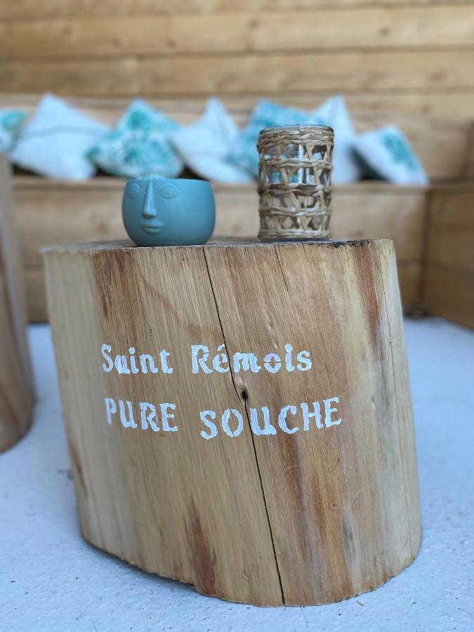 فيلا Mas Aupiho Saint-Rémy-de-Provence المظهر الخارجي الصورة