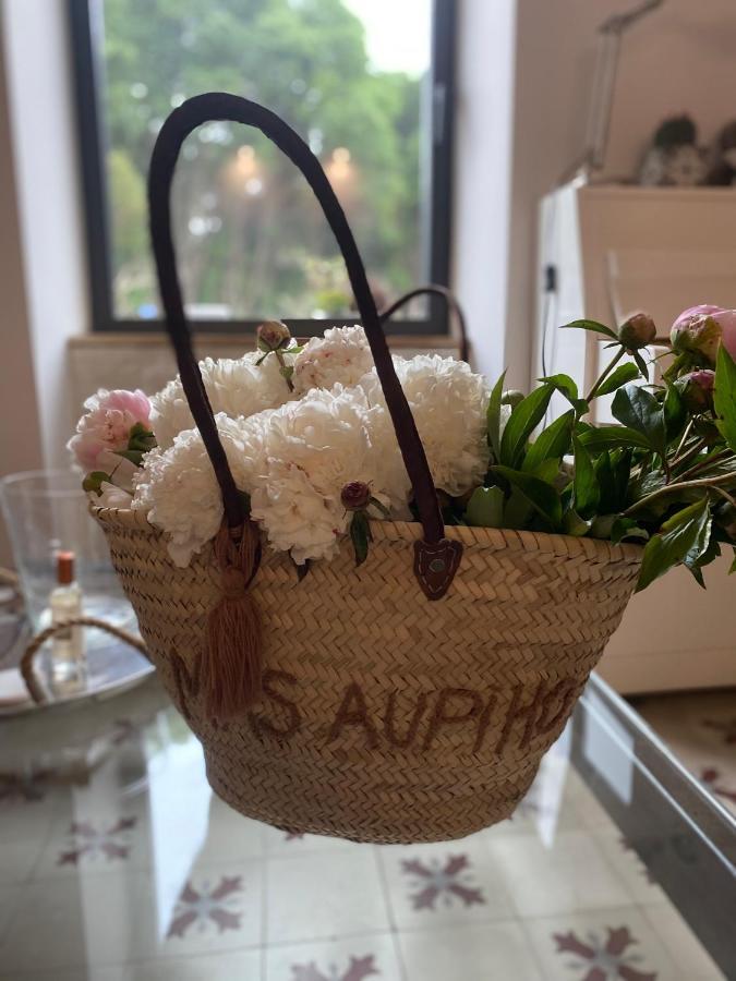 فيلا Mas Aupiho Saint-Rémy-de-Provence المظهر الخارجي الصورة